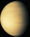 image of the Venus